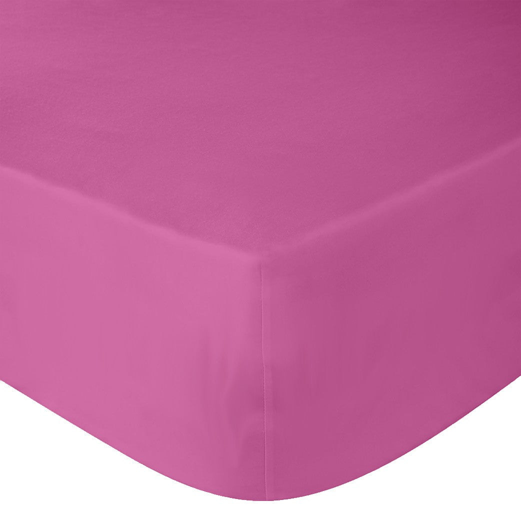 Cearceaf de pat Renforce Rosebloom