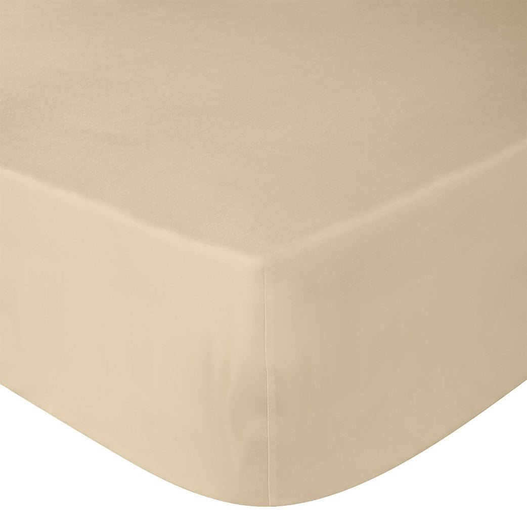Cearceaf de pat Renforce Honey Peach